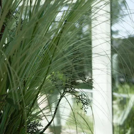 Thermenhotel Quellenhof Отель Бад-Фюссинг